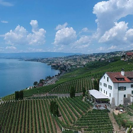 Domaine De La Crausaz Grandvaux Dış mekan fotoğraf