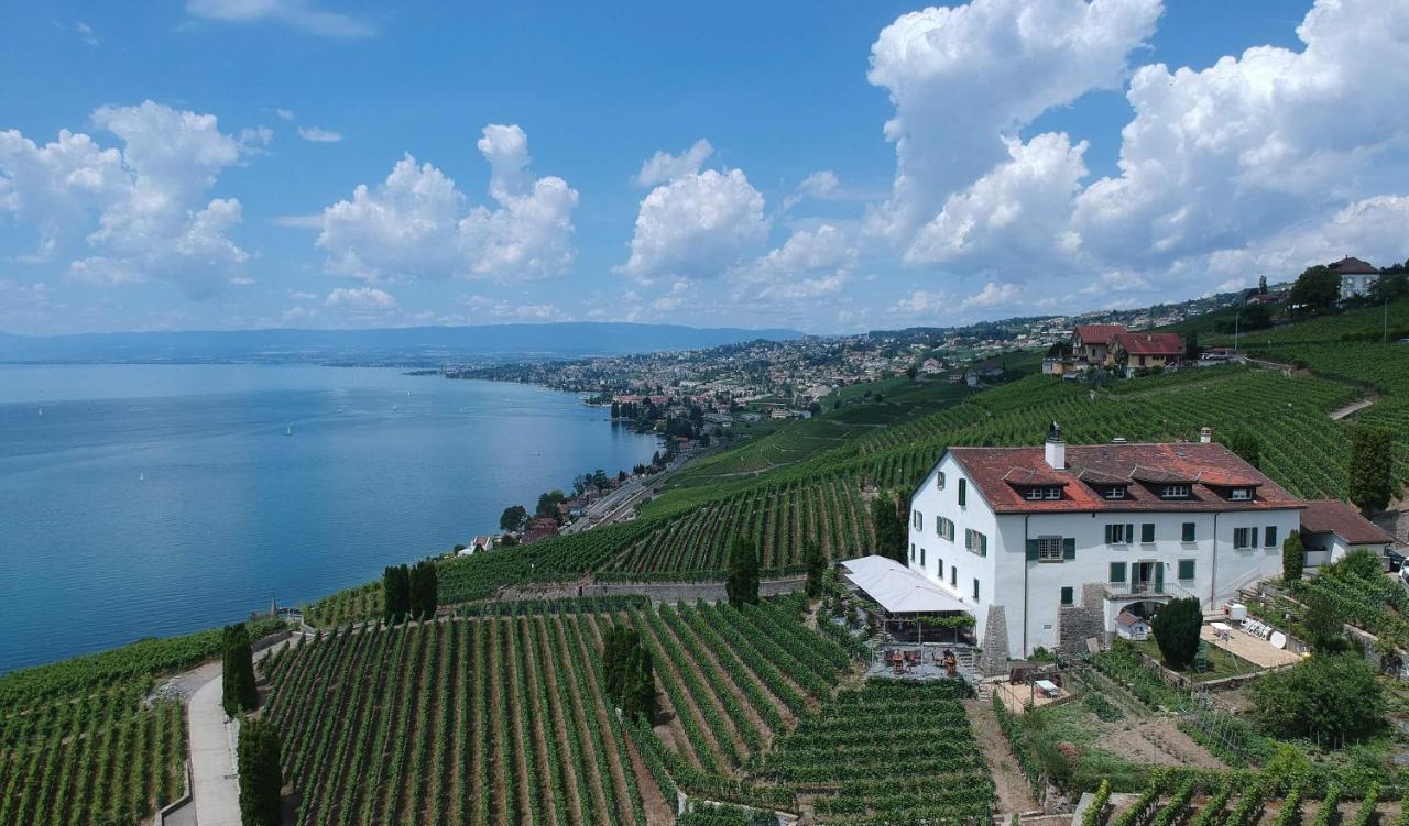 Domaine De La Crausaz Grandvaux Dış mekan fotoğraf