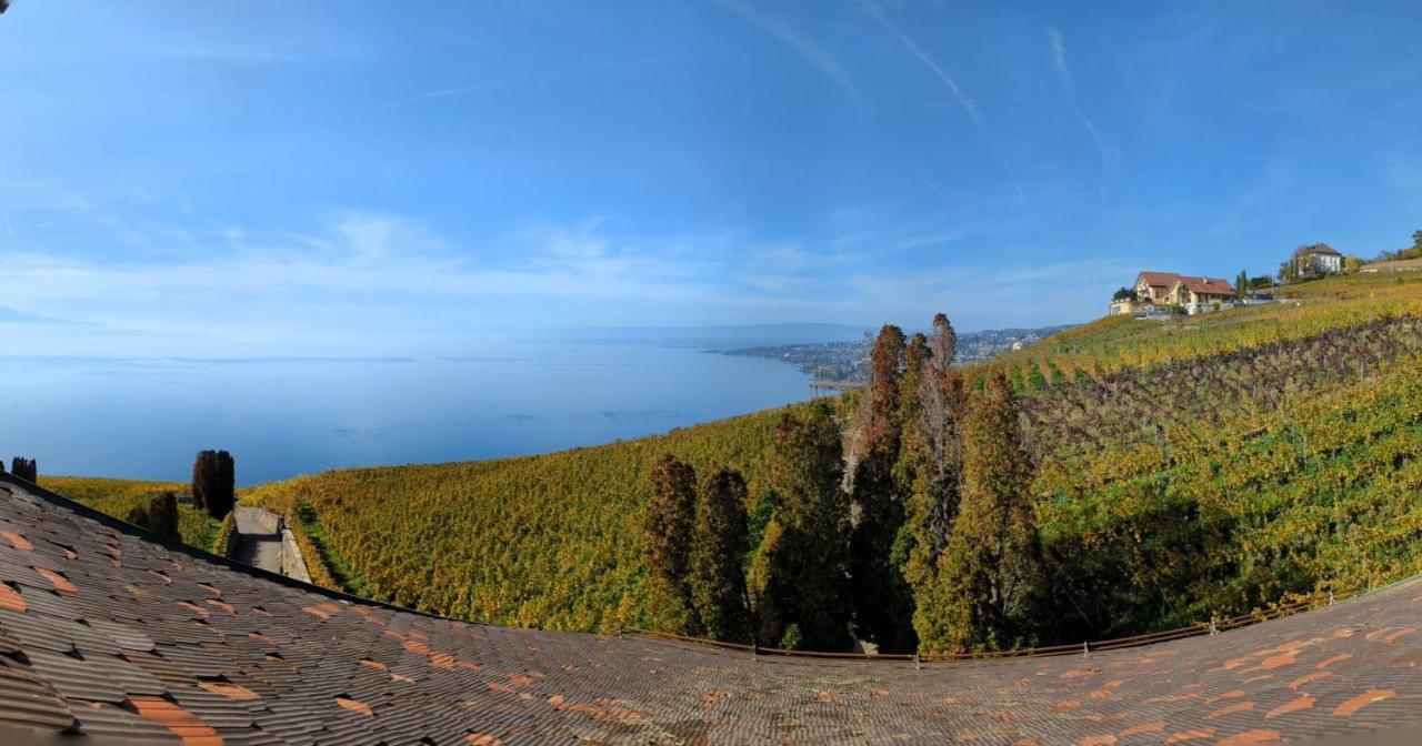 Domaine De La Crausaz Grandvaux Dış mekan fotoğraf